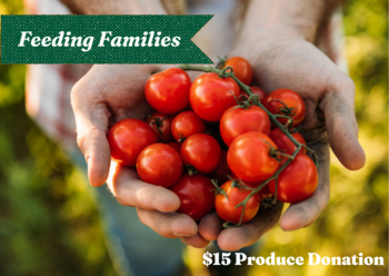 FEEDING FAMILIES BUNDLE - First Fruit Ministries