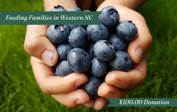 FEEDING FAMILIES - Western NC $100.00